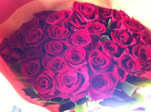 Roses_kg